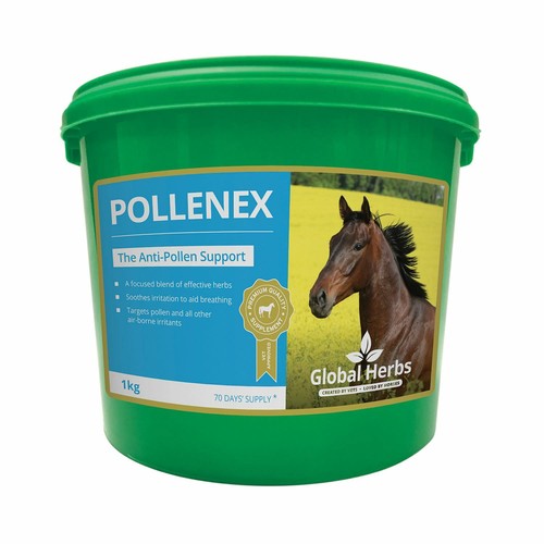 Global herbs pollenex kg - herbs, 1