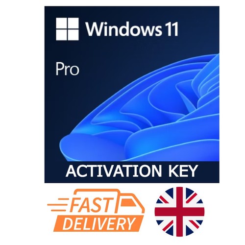 Windows pro license - windows,