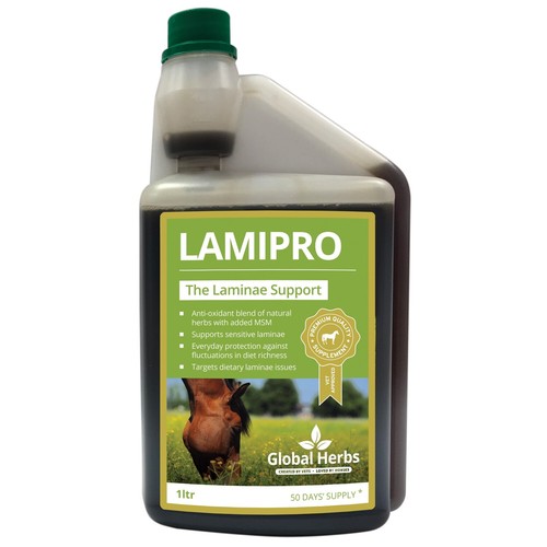 Global herbs laminitis prone - laminitis,